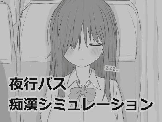 夜行バス痴●シミュレーション  エロ画像532880