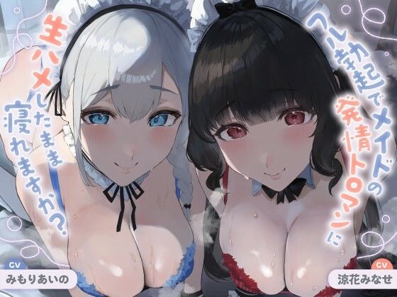 【ALL無声音】フル勃起でメイドの発情トロマンに生ハメしたまま寝れますか？【スローセックス/ずっと生ハメ】  エロ画像685671